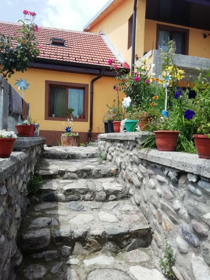 Casa Darius Orşova Exterior foto